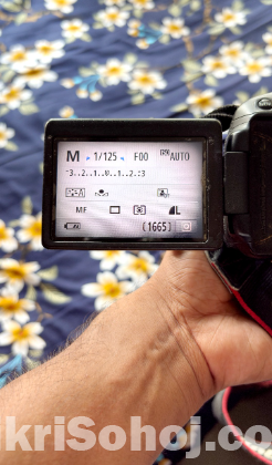 Canon 700D DSLR with Kit Lens